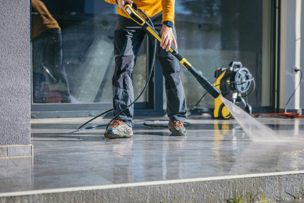 Best Driveway Pressure Washing  in South Alamo, TX